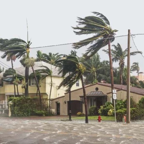 AdobeStock_171083501_Card